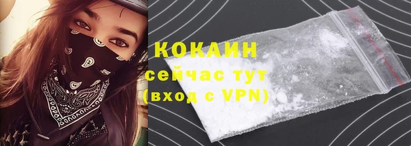 МДПВ Вяземский
