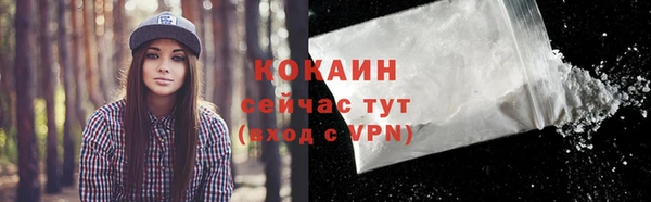 МДПВ Вяземский