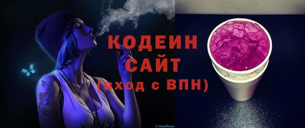 МДПВ Вяземский