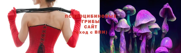 МДПВ Вяземский