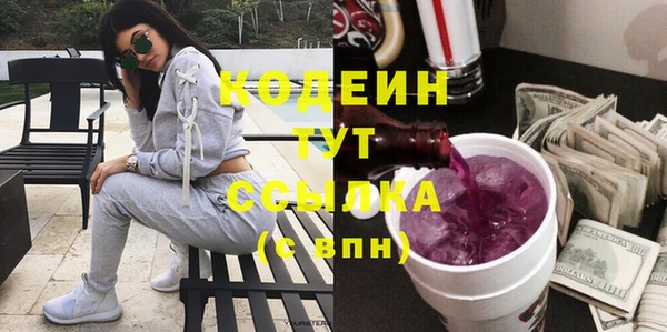 МДПВ Вяземский
