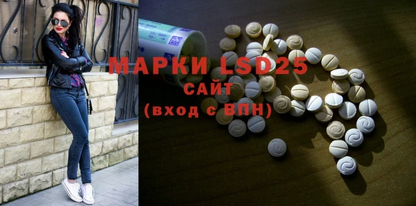 МДПВ Вяземский
