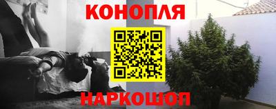 индика Гай