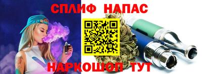 индика Гай