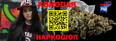 индика Гай