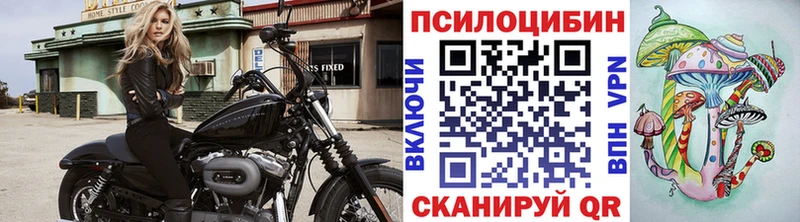 купить наркотик  это состав  МЕГА ссылки  Псилоцибиновые грибы Psilocybine cubensis  Медногорск 