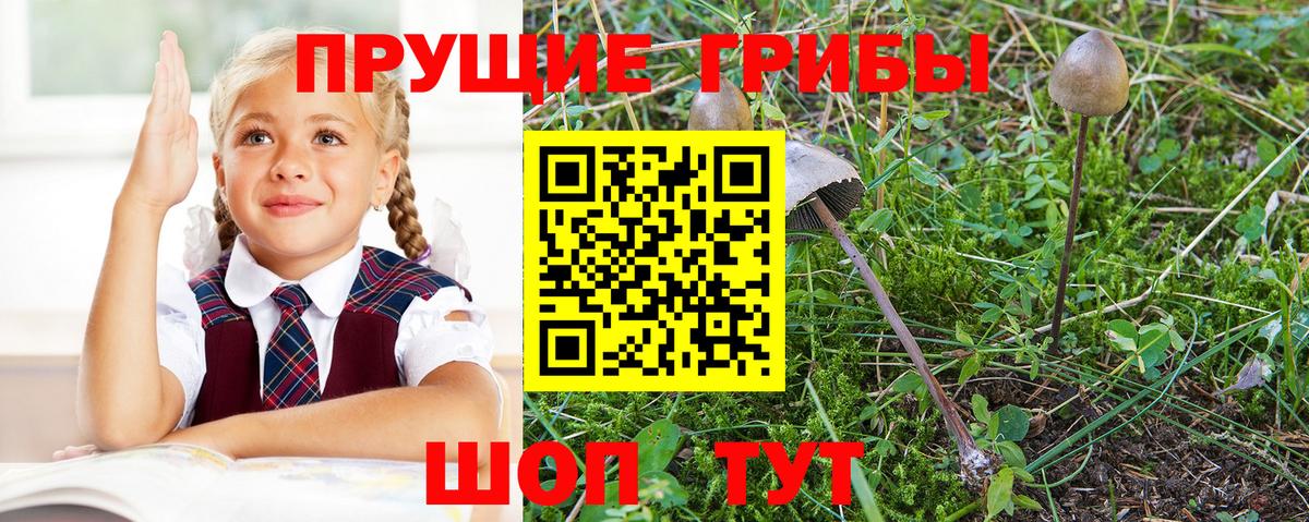 Псилоцибиновые грибы прущие грибы Медногорск