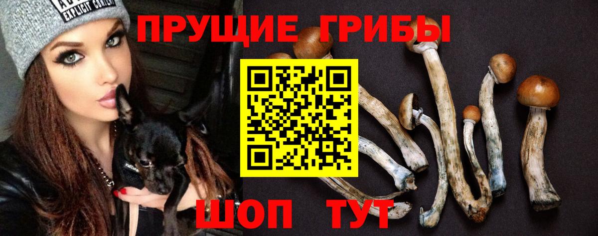 Псилоцибиновые грибы Cubensis Медногорск